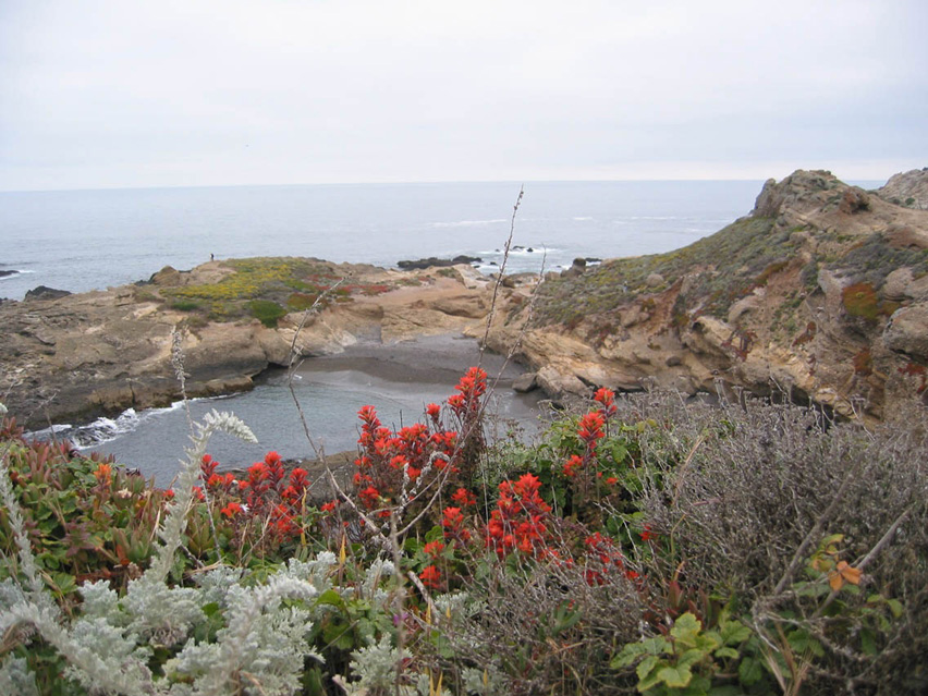 Californie_Plage4