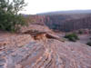 Arizona_Canyon_de_Chelly3