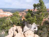 Arizona_Grand_Canyon14