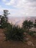 Arizona_Grand_Canyon3