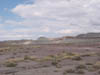 Arizona_Petrified_Forest