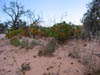California_Dead_Valley3