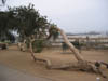 Californie_Los_Angeles_plage