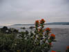Californie_Plage3