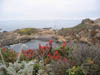 Californie_Plage4