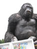 Californie_hollywood_Los_Angeles_kingkong